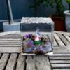 Axolotl Resin Lamp Ver 2 (11)