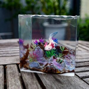 Axolotl Resin Lamp Ver 2