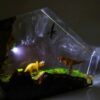 Dinosaur Resin Lamp (7)